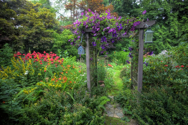Pergola w ogrodzie